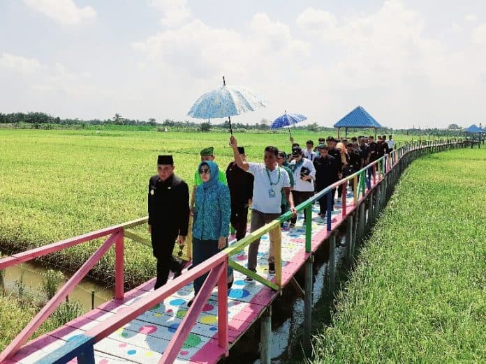 desa_denai_lama_pesona_agrowisata_di_deliserdang_gubsu_beri_apresiasi