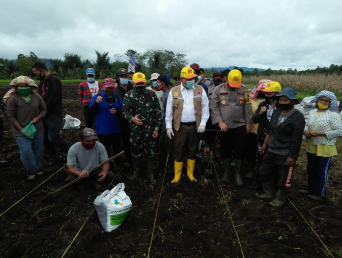 desa_kalang_simbara_jadi_kampung_paten_ketahanan_pangan