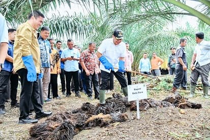 desa_tanjung_kasau_batu_bara_dijadikan_lokasi_pengolahan_pupuk_organik_dari_limbah_sawit