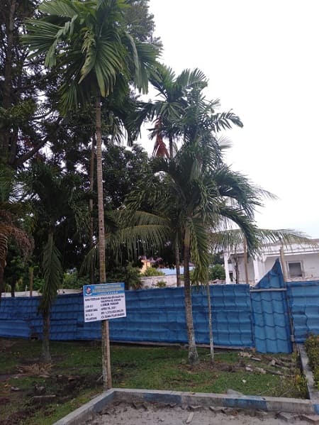 di_deli_serdang_ada_papan_proyek_dipasang_di_pohon_pinang