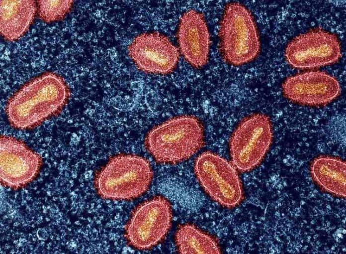 di_jerman_ditemukan_varian_baru_mpox_clade_1b