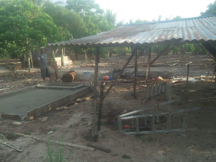 di_tengah_pandemi_covid_19_komunitas_dosroha_awali_usaha_beternak_bebek
