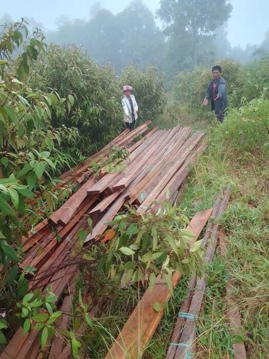 dibentak_oknum_wartawan_dan_dituduh_pelaku_illegal_logging_pasutri_minta_aph_turun