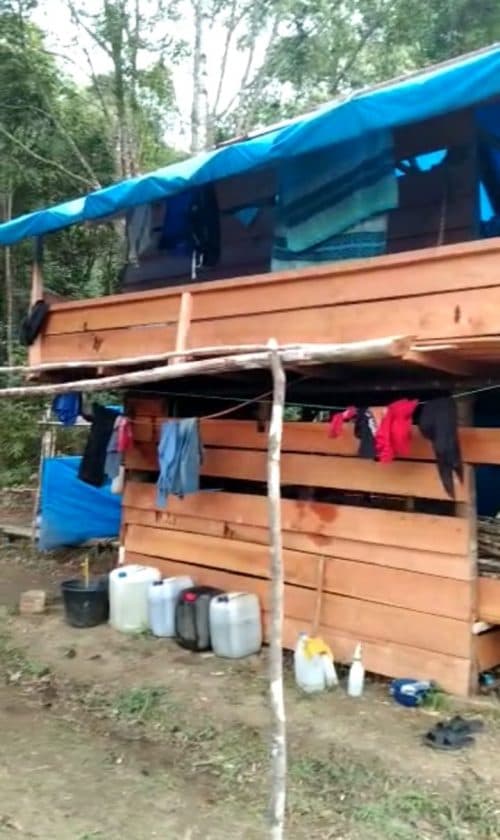dibuat_geram_polresta_deli_serdang_incar_penderes_tusam_di_gunung_meriah
