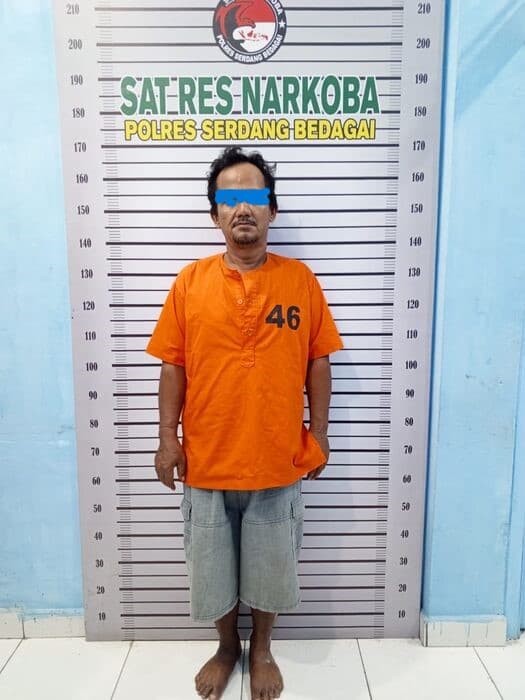 diduga_edarkan_ganja_warga_seirampah_dibekuk_polres_sergai