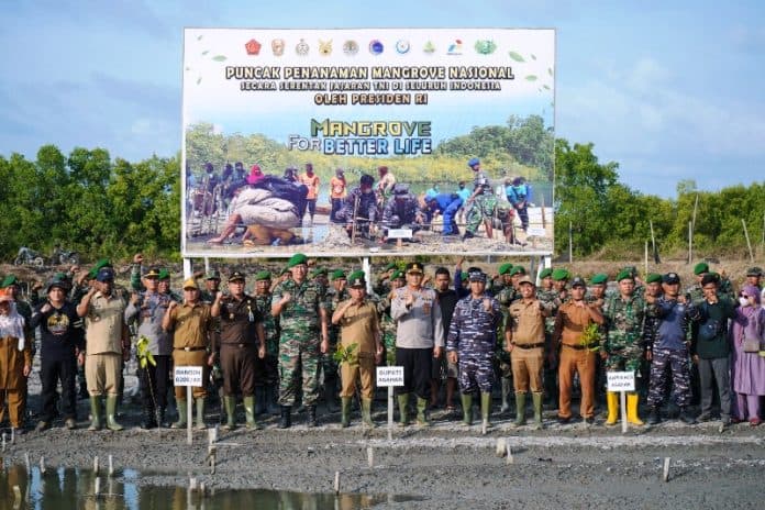 diikuti_presiden_jokowi_secara_virtual_asahan_tuan_rumah_penanaman_mangrove_nasional