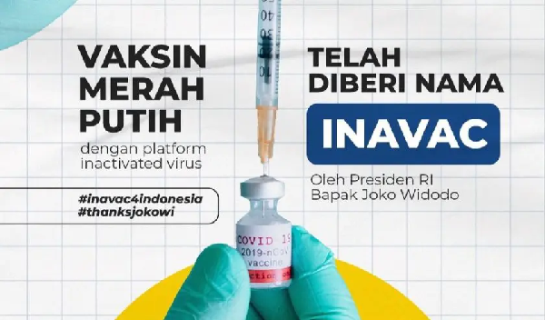 diizinkan_bpom_vaksin_inavac_indonesia_miliki_efek_samping_ringan_hingga_sedang