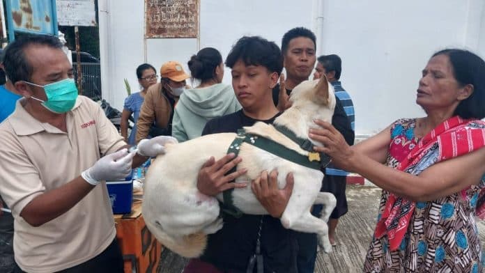 dinas_pertanian_dan_ketahanan_pangan_gencarkan_vaksinasi_rabies_di_pematangsiantar
