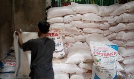 dinas_pertanian_pastikan_jatah_pupuk_subsidi_petani_di_siantar_aman