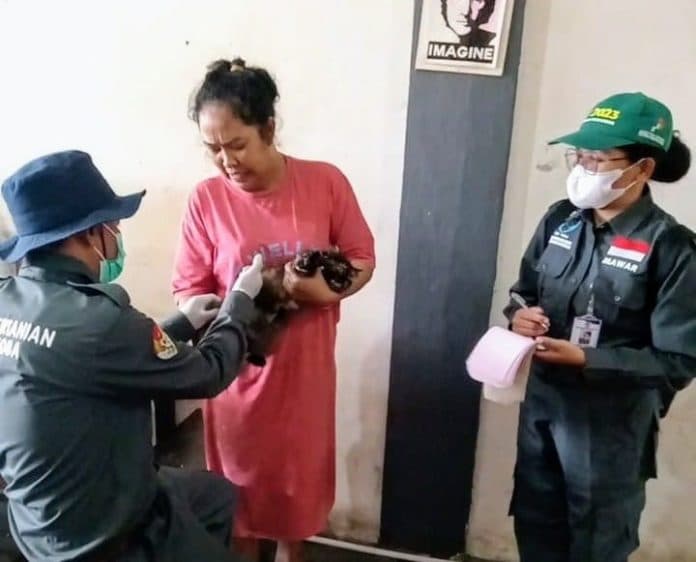 dinas_pertanian_sterilkan_f1h2o_melalui_vaksinasi_rabies_phms