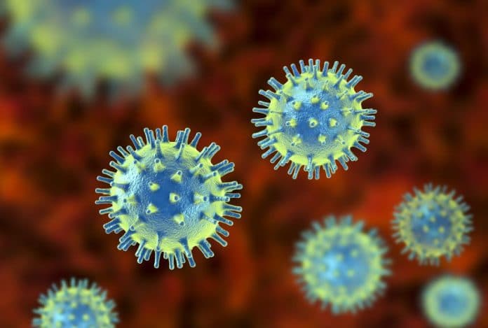 dinkes_siantar_pastikan_tidak_temukan_virus_mematikan_dari_malaysia