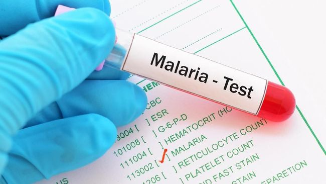 dinkes_sumut_perkuat_surveilans_antisipasi_malaria