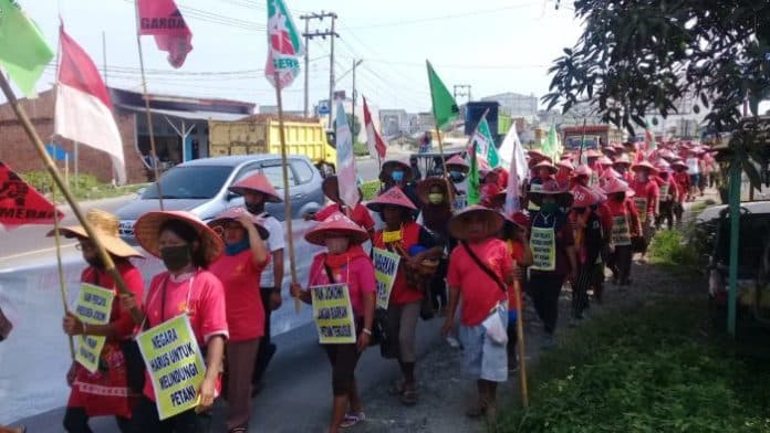 dipicu_komplik_penyerobotan_lahan_milik_petani_diduga_dilakukan_ptpn_ii_ratusan_petani_spsb_jalan_kaki_temui_presiden_jokowi