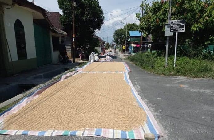dishanpangtan_siantar_klaim_penyaluran_pupuk_bersubsidi_lancar