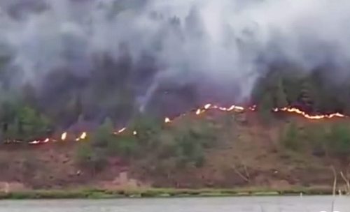 dishut_sumuttotal_lahan_hutan_terbakar_capai_506_hektar