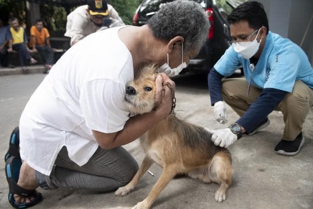 distan_kpp_dairi_segera_vaksinasi_rabies_massal_robot_simanullang_masyarakat_diimbau_melaporkan_anjing_peliharaan_ke_ppl
