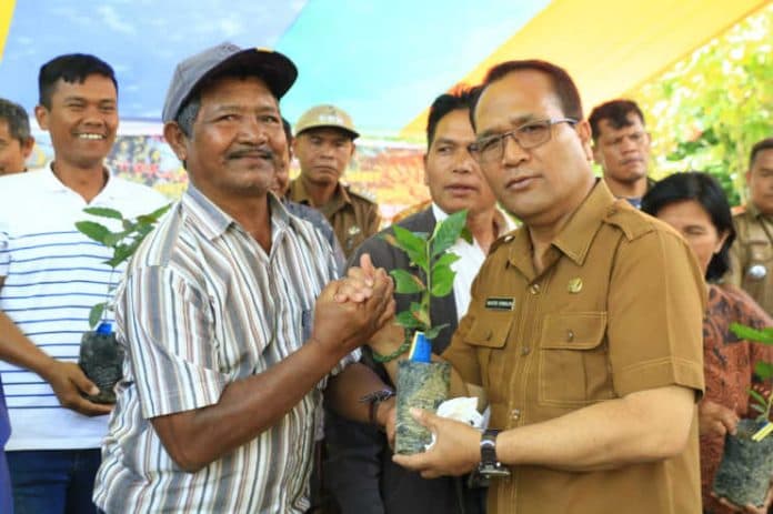 distapangtan_samosir_salurkan_bibit_kopi_dan_bawang_merah