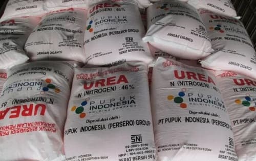 distributor_pupuk_di_simalungun_tilep_rp750_juta_uang_asosiasi_kios_pupuk_subsidi_edu_sitorus_akan_kita_lapor_ke_polres