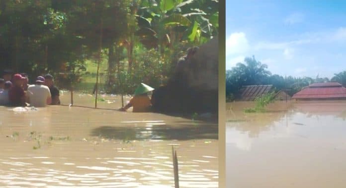 diterjang_banjir_tembok_penangkaran_buaya_batu_bara_jebol_2_buaya_lepas