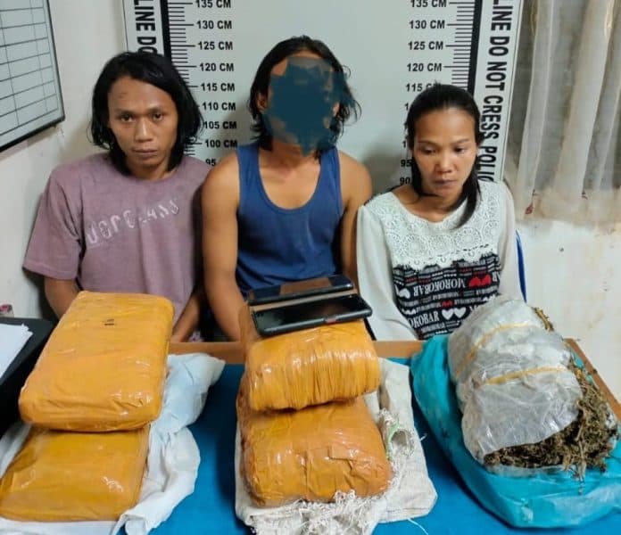 dituntut_12_tahun_penjara_di_pn_siantar_ibu_ibu_pengedar_ganja_minta_dikasihani