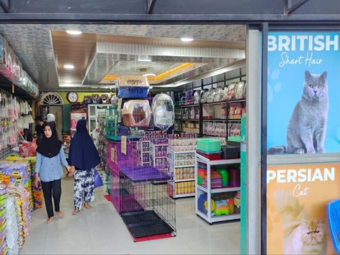doramon_catshop_cinta_pada_kucing_jadi_kunci_sukses