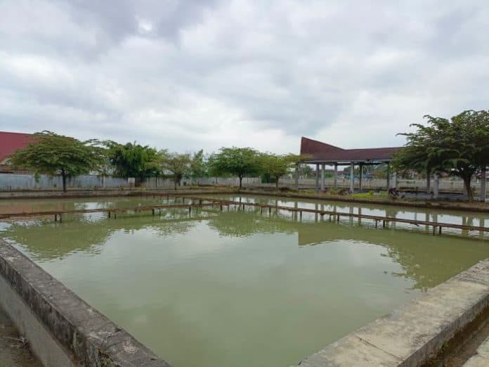 dorong_perekonomian_masyarakat_bbi_sumut_sediakan_benih_ikan_nila_gratis