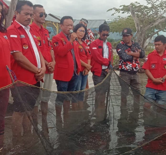 dpc_pbb_toba_tabur_25_ribu_benih_ikan_nila_di_danau_toba