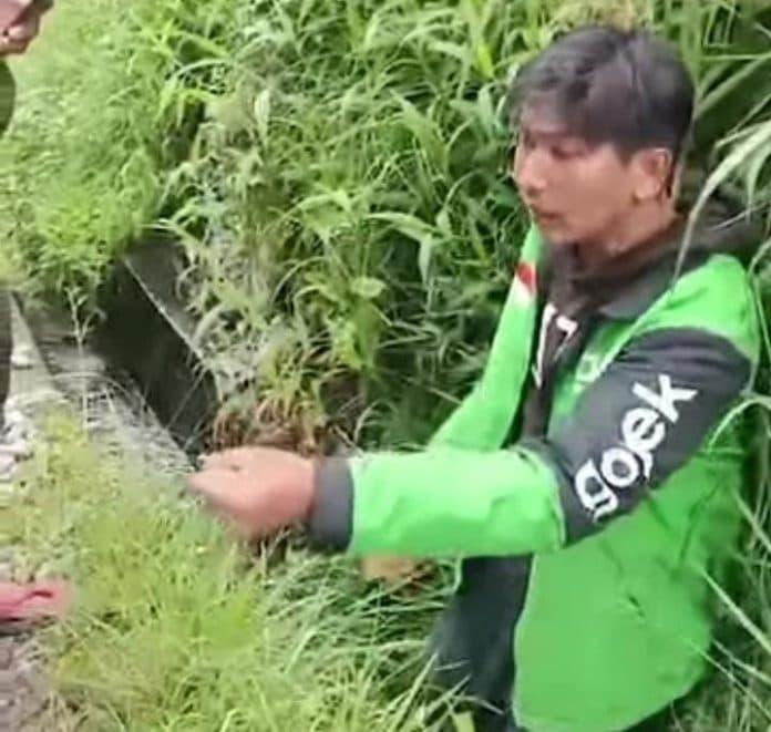 driver_ojol_dibegal_di_kawasan_marindal_pelaku_bawa_senpi