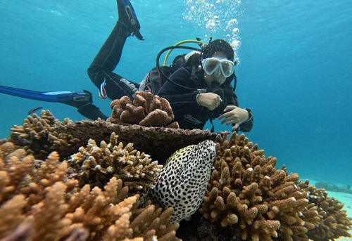 dua_desa_wisata_sabang_masuk_adw_indonesia_2023