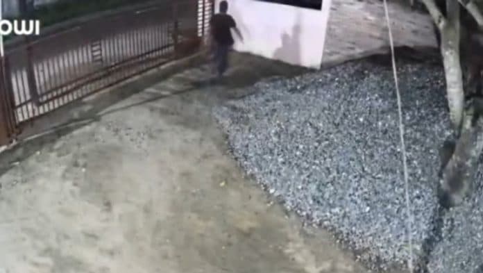 dua_ekor_burung_lovebird_dicuri_di_kisaran_pelaku_terekam_cctv