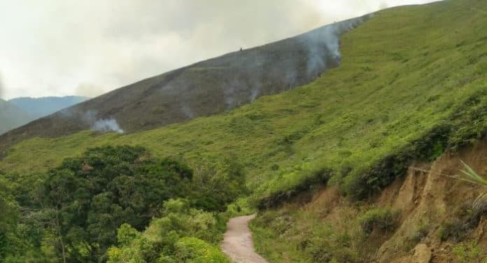 dua_hektare_hutan_di_desa_hariara_pohan_samosir_terbakar