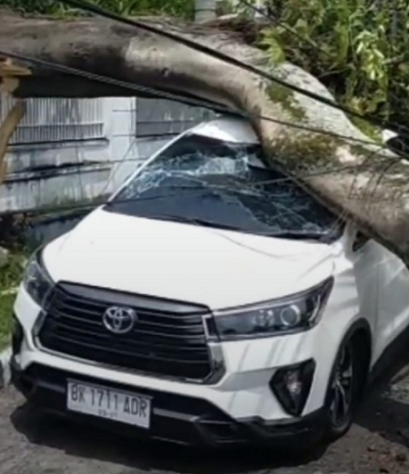 dua_mobil_ringsek_tertimpa_pohon_tumbang_di_medan