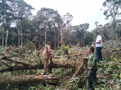dua_terlapor_perambah_hutan_di_lae_pondom_masih_diproses_di_polres_dairi
