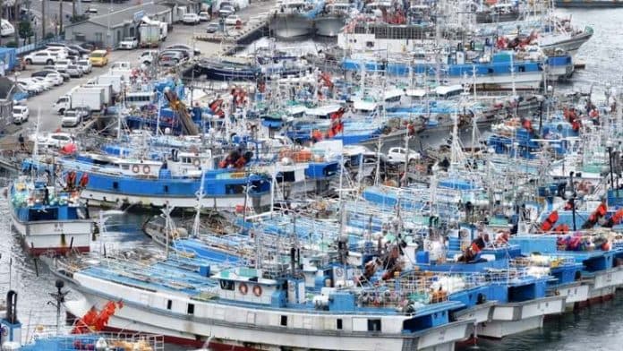 dua_tewas_12_hilang_dalam_insiden_tenggelamnya_kapal_nelayan_di_perairan_jeju