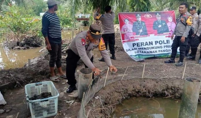 dukung_ketahanan_pangan_polsek_hamparan_perak_berikan_benih_kepiting_dan_ikan_ke_warga