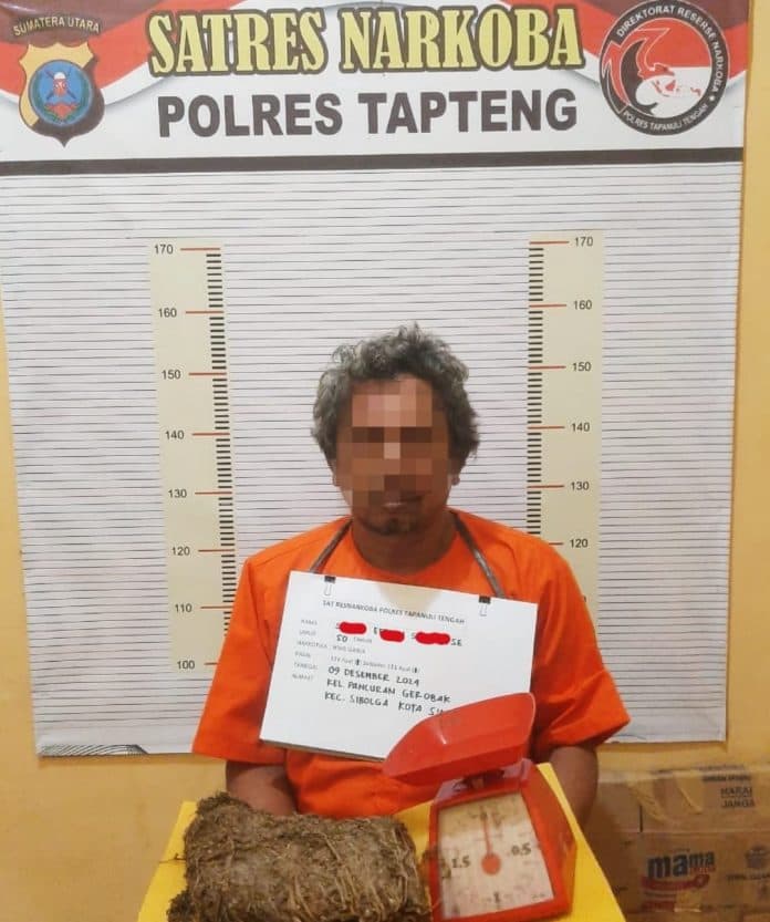edarkan_ganja_15_kg_di_aek_horsik_residivis_ditangkap