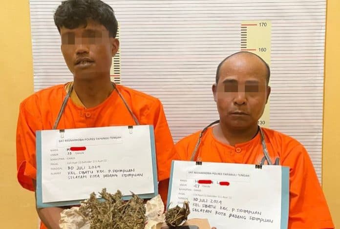 edarkan_ganja_dua_warga_padangsidimpuan_diringkus_polisi