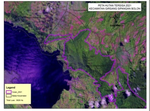 ekosistem_kawasan_danau_toba_ditemukan_rusak_akibat_konsesi