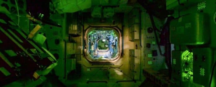 eksperimen_tunjukkan_bakteri_lebih_bertahan_dan_resisten_setelah_dari_luar_angkasa