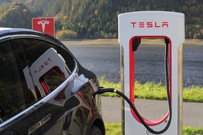elon_musk_phk_121_ribu_karyawan_tesla_imbas_penurunan_penjualan