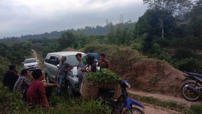 empat_gubuk_warga_dibakar_perseteruan_dua_kelompok_petani_di_kawasan_tngl_memanas