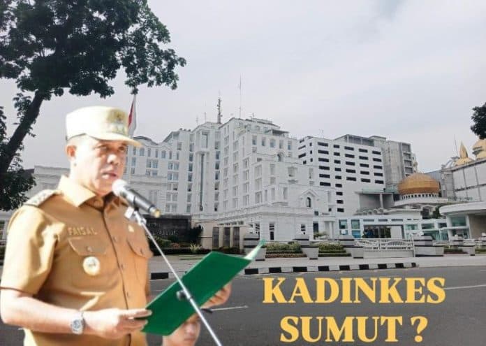 faisal_hasrimy_dinilai_tak_layak_kadinkes_sumut_pengamat_pemprovsu_seolah_kekurangan_orang