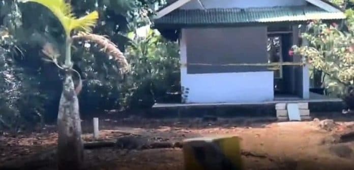 fakta_baru_sebelum_ditemukan_anak_pamen_tni_au_buat_status_kematian_di_roblox