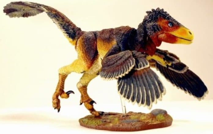 fakta_burung_bisa_bertahan_hingga_kini_dibandingkan_dinosaurus