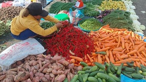 faktor_cuaca_buat_harga_wortel_terkerek_naik_di_medan