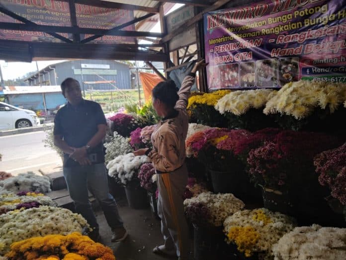 festival_bunga_buah_berastagi_tak_menggenjot_penjualan