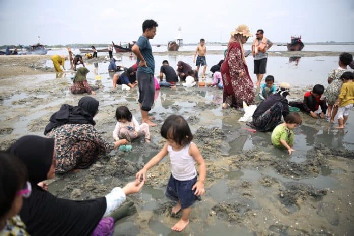 fokus_lensa_keseruan_mencari_kepah_laut_di_pantai