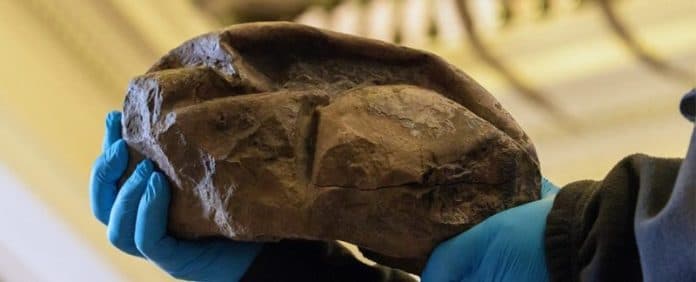 fosil_misteri_the_thing_dari_antartika_akhirnya_terungkap