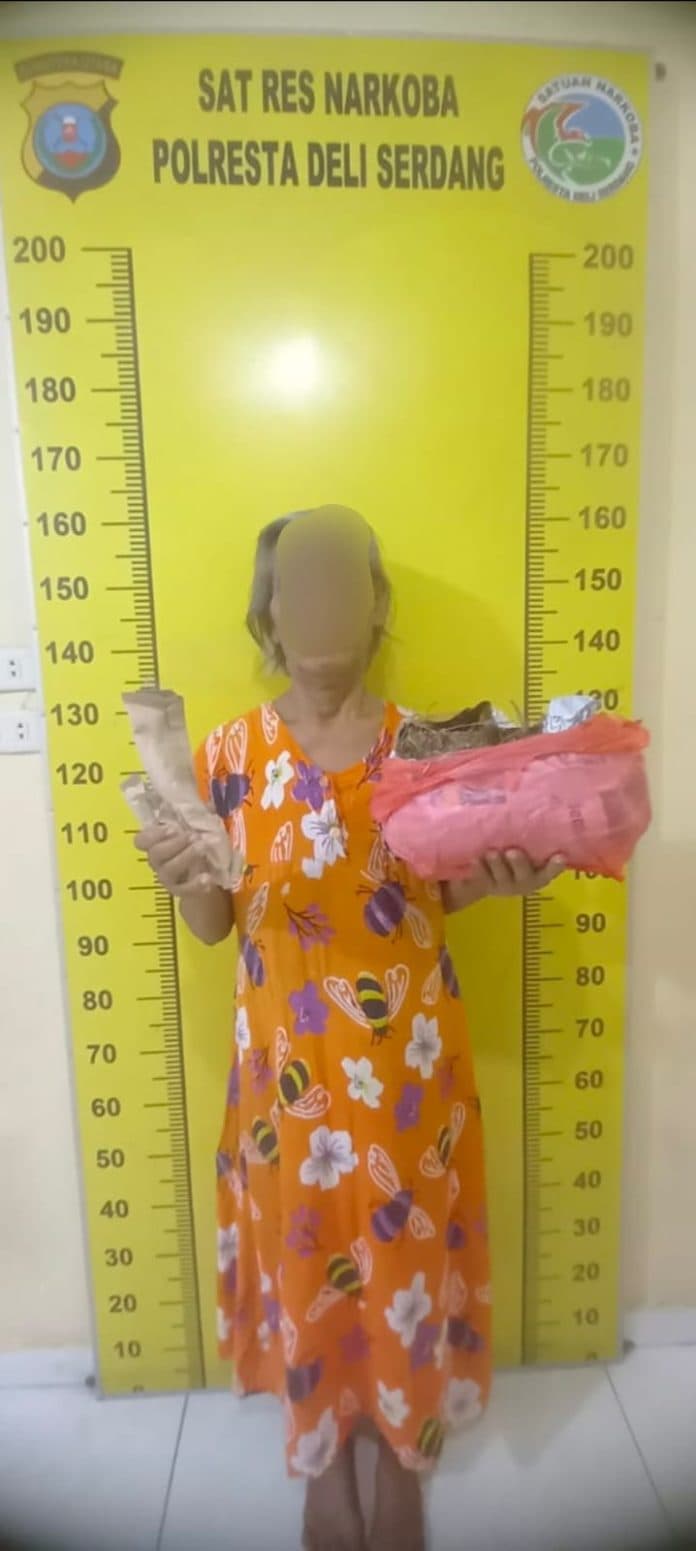 gawat_nenek_nenek_di_deli_serdang_ditangkap_polisi_saat_baru_pulang_beli_ganja