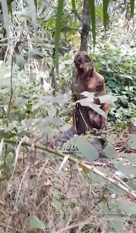 geger_mayat_misterius_tinggal_tulang_ditemukan_di_perdagangan
